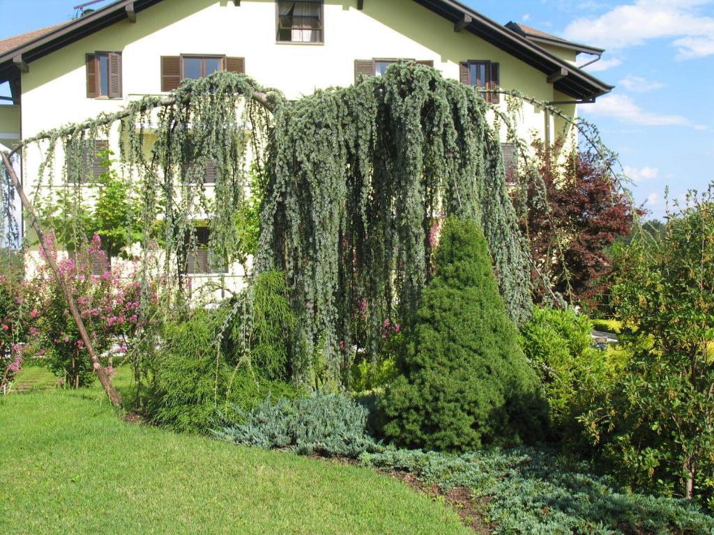Albergo Residence Isotta Veruno Luaran gambar